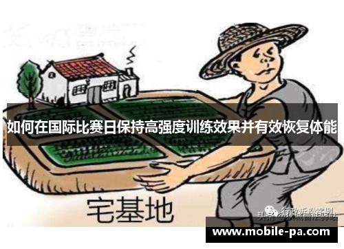 如何在国际比赛日保持高强度训练效果并有效恢复体能