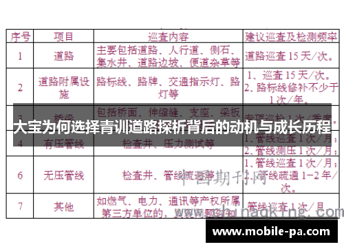 大宝为何选择青训道路探析背后的动机与成长历程