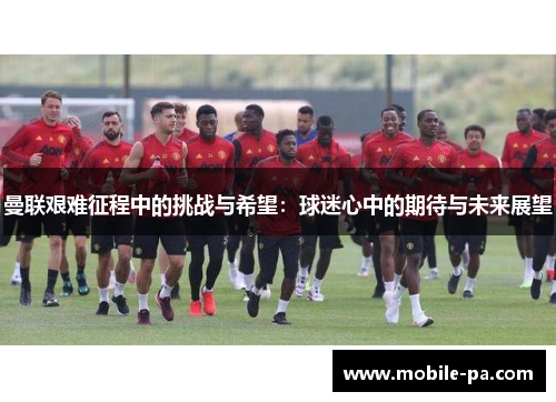 曼联艰难征程中的挑战与希望：球迷心中的期待与未来展望