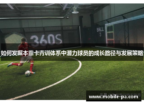 如何发掘本菲卡青训体系中潜力球员的成长路径与发展策略