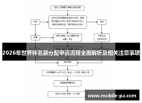 2026年世界杯名额分配申请流程全面解析及相关注意事项