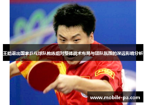 王皓退出国家乒乓球队教练组对整体战术布局与团队氛围的深远影响分析