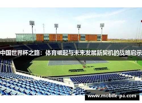 中国世界杯之路：体育崛起与未来发展新契机的战略启示