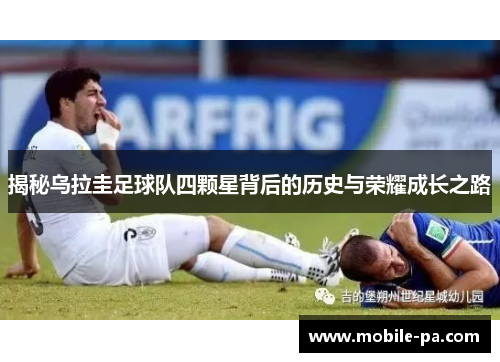 揭秘乌拉圭足球队四颗星背后的历史与荣耀成长之路