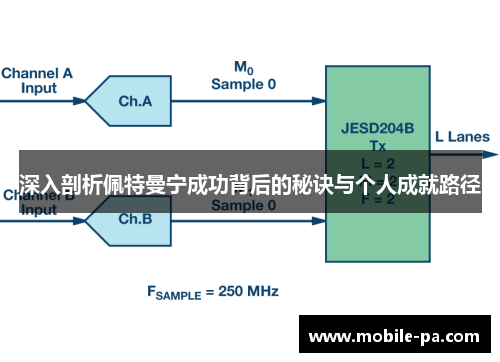 深入剖析佩特曼宁成功背后的秘诀与个人成就路径