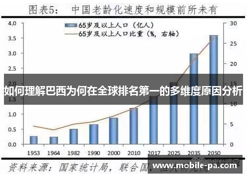 如何理解巴西为何在全球排名第一的多维度原因分析