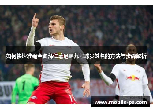 如何快速准确查询拜仁慕尼黑九号球员姓名的方法与步骤解析