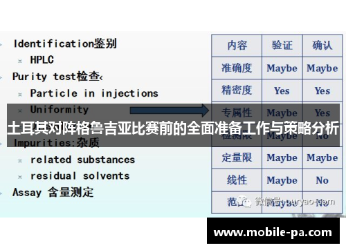 土耳其对阵格鲁吉亚比赛前的全面准备工作与策略分析