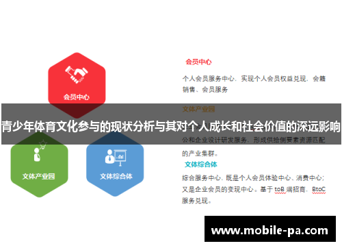 青少年体育文化参与的现状分析与其对个人成长和社会价值的深远影响
