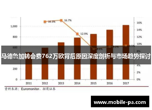 马德鲁加转会费762万欧背后原因深度剖析与市场趋势探讨