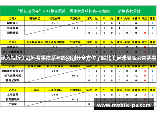 深入解析美冠杯赛事体系与级别划分全方位了解北美足球最高荣誉赛事