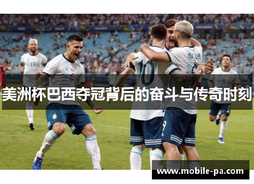 美洲杯巴西夺冠背后的奋斗与传奇时刻