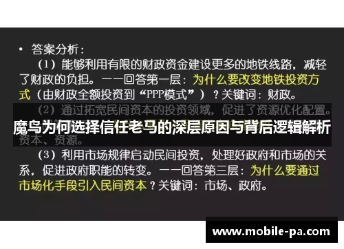 魔鸟为何选择信任老马的深层原因与背后逻辑解析 魔鸟为何选择信任老马的深层原因与背后逻辑解析