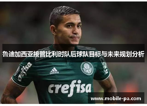 鲁迪加西亚接管比利时队后球队目标与未来规划分析 鲁迪加西亚接管比利时队后球队目标与未来规划分析