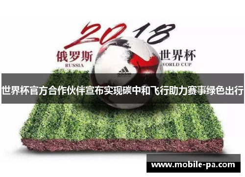 世界杯官方合作伙伴宣布实现碳中和飞行助力赛事绿色出行 世界杯官方合作伙伴宣布实现碳中和飞行助力赛事绿色出行