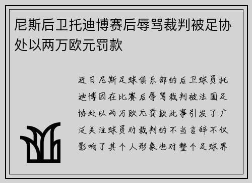 尼斯后卫托迪博赛后辱骂裁判被足协处以两万欧元罚款 尼斯后卫托迪博赛后辱骂裁判被足协处以两万欧元罚款